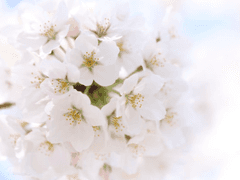 너의 곁에 내가 - 10