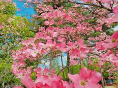 [수혁청산귀남] 내가 놓아버린 손을 잡아버린 그 녀석