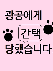 광공에게 간택 당했습니다!