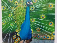 유화그림-Peacock