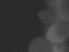 소중한 걸 지킬 수 있나?