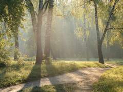 [랩진] 감각의 교습소 (35)