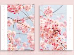 [분양완료] 너는 나의 봄 (88)