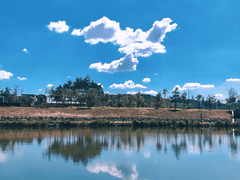 검은 호수와 마시멜로 한 봉지 프롤로그