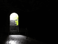 영원한 삶은 없기에.