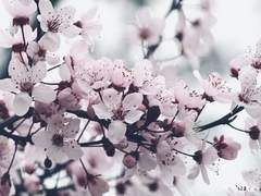 부디 영원토록 함께할 수 있기를 소망하며