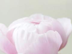 [랩진] 감각의 교습소 (36)