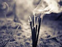 내 주군, 나의 별. 너의 이야기를 듣고 즐길게.