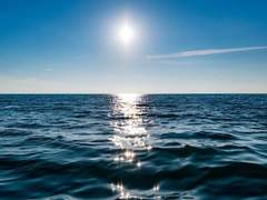 새벽의 푸른 장막과 밤하늘의 샛별