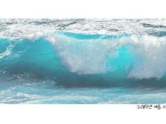 최악 외 출입금지