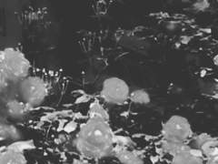 기억도 안나는 고백을 했더라니.