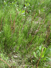 잡다하게도 마스터플랜