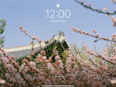 Wallpapers | 홍매화 배경화면🌺