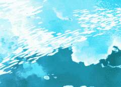 유설화 / 23 / 북극여우