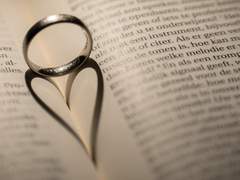 오늘의 계절은 어때?