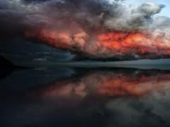 [토니피터] 사랑과 죽음의 역학 05