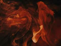 [토니피터] 사랑과 죽음의 역학 04