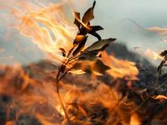 [토니피터] 사랑과 죽음의 역학 08