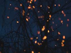 [토니피터] 사랑과 죽음의 역학 02/03