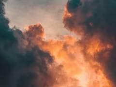 [토니피터] 사랑과 죽음의 역학 11