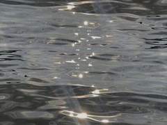 깊은 저 바닷속 파란 상어