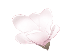 아뢰니, 다시한번 인사드려요