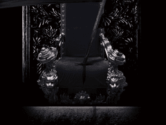 [설화, ‘단 하나의 별’이 탄생하였습니다.]