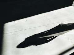 52화: 스물아홉 번째 꿈 <드러난 그림자> (1)