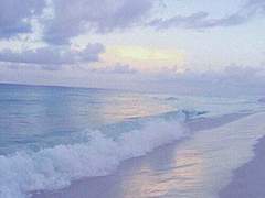 나는 너의 이름보다도 먼저 사랑을 배웠다