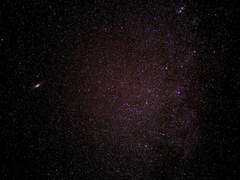 에스더 노엘 / 20 / XX