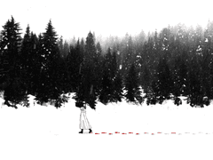 생은 무엇을 위해 고동하는가?