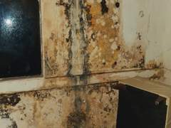 심령 스팟.(心霊スポット)