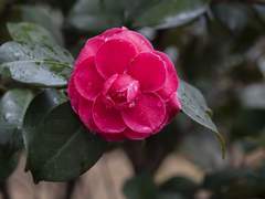 즐거운 오후, 경쾌한 팝과 함께...