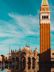 캔버스에유채 팬아트