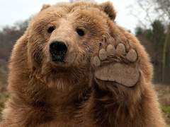 단단히 엮여버렸다 [공지?]