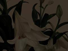 나를 멈추게 했던 것은