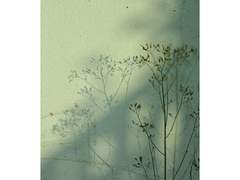 걱정말아요, 그대...