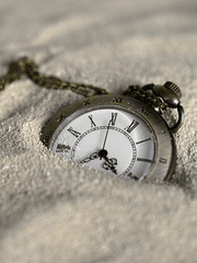 색채가 소리없이 사라진 곳 :: 헤이든 크로포드