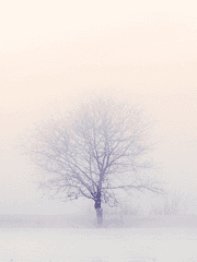 간담초월 2기 :: 호산