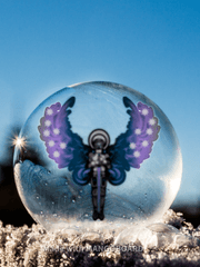 [MCU] knight of winter