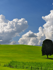 동물의 왕국 Season 3