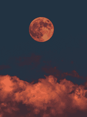 [하이큐 장편] 한국 전학생