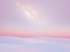 레노어 C. 볼피누스_XY_7