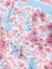 사랑에도 유통기한이 있나요?