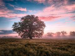 조개껍데기는 녹슬지 않는다.