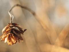 [ 도리벤 ] 우리를 위해서 살 필요는 없어..