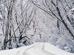 인형은 오월의 눈을 싫어했다.