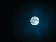 나는 그럴만한 자격이 없는 사람인데도