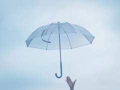 [윤홋] 비닐우산