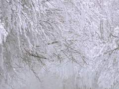 할로우 폴리/뱀파이어/22